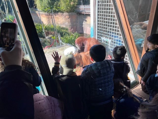 /uploaded_files/media/gallery/1659494485zoo 23.jpg